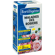 maladies rosiers
